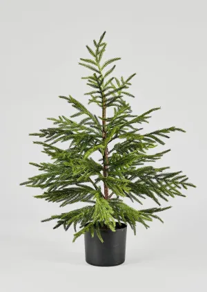 Afloral Artificial Norfolk Pine Tree - 36"