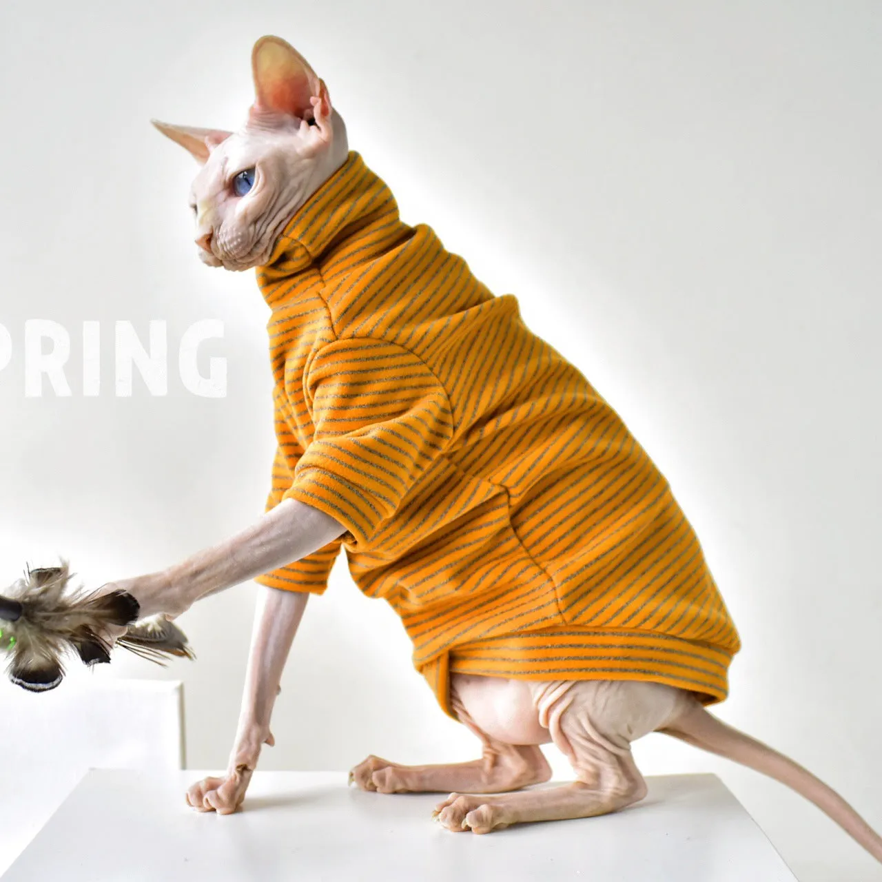 Heat-Generating Fabric German Velvet Striped High Collar Shirt | Winter Thickened Sphynx Hairless Cat Clothes