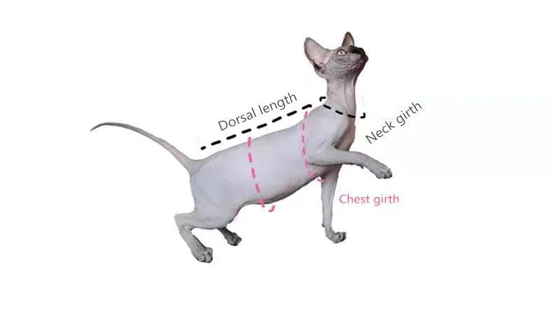 Poncho Sphynx Cat Sweater