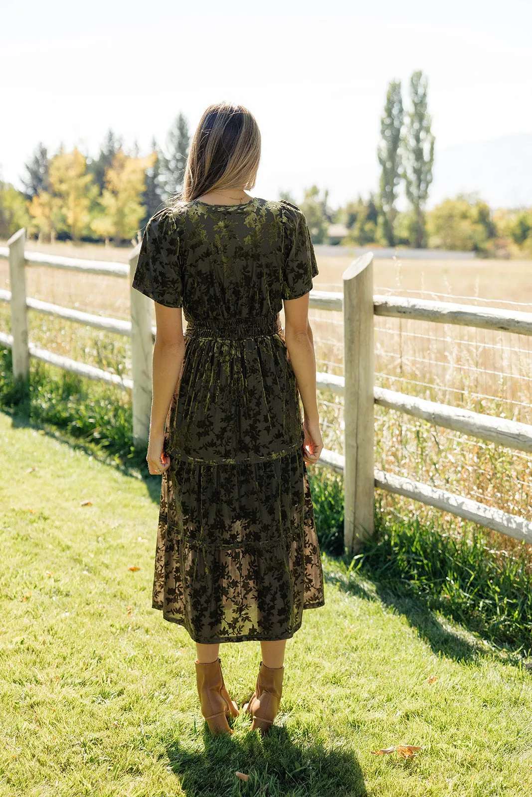 Stained Glass Velvet Dress