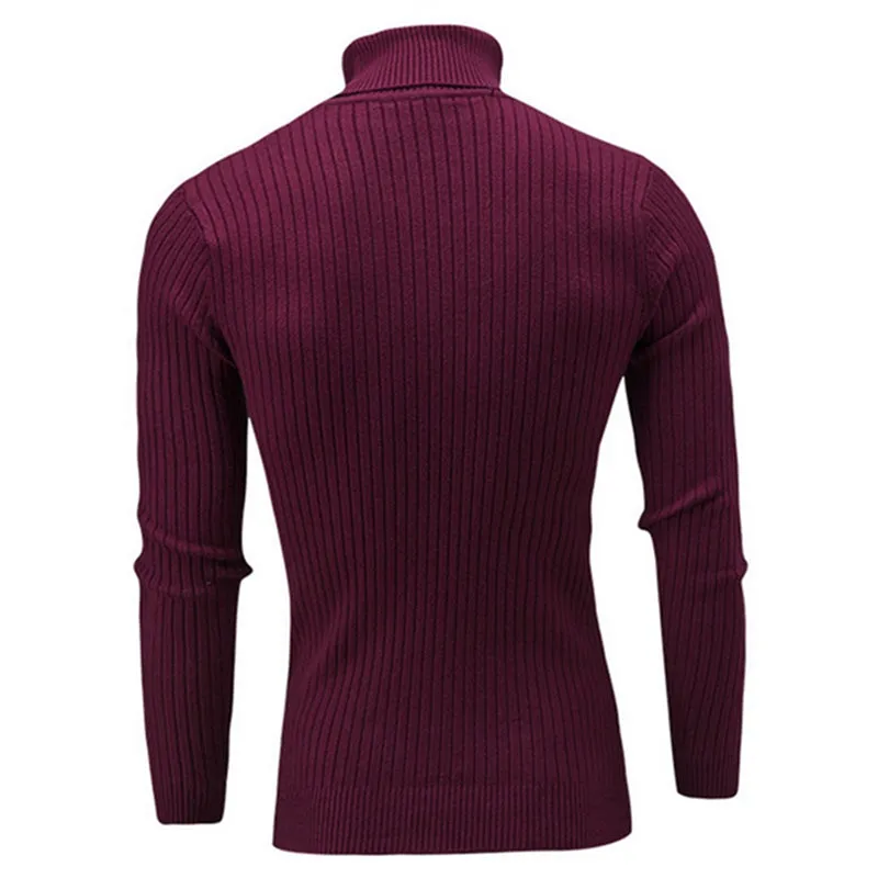 West Louis™ Turtleneck Solid Casual Sweater